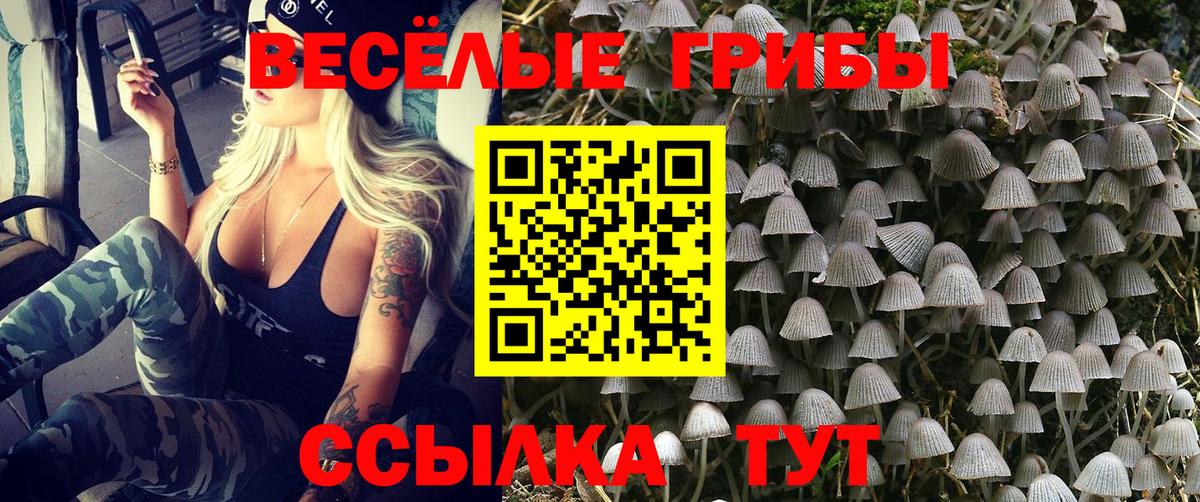 Галлюциногенные грибы MAGIC MUSHROOMS  где купить наркотик  Нурлат  Вход с VPN 